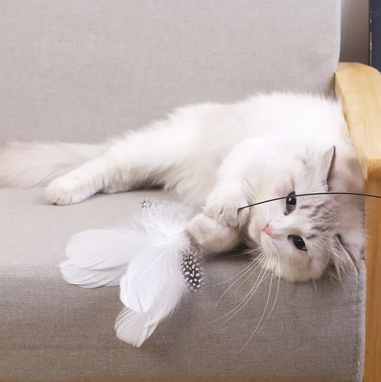 c854c62124627c303d30d51729850809 c854c62124627c303d30d51729850809